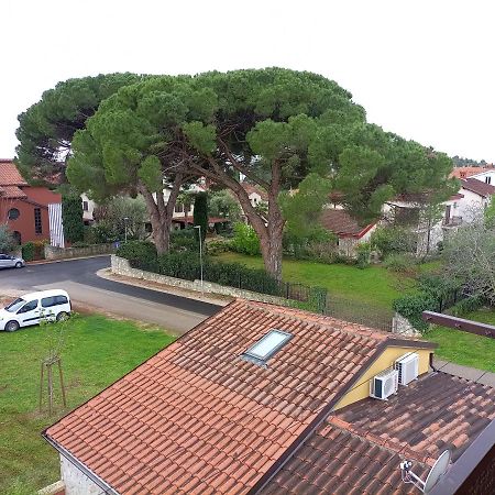 Apartments Ingrid Novigrad  Екстер'єр фото