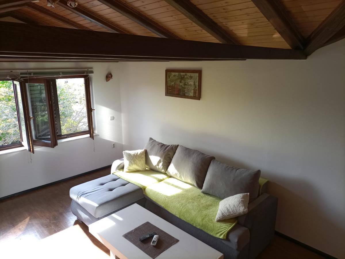 Apartments Ingrid Novigrad  Екстер'єр фото