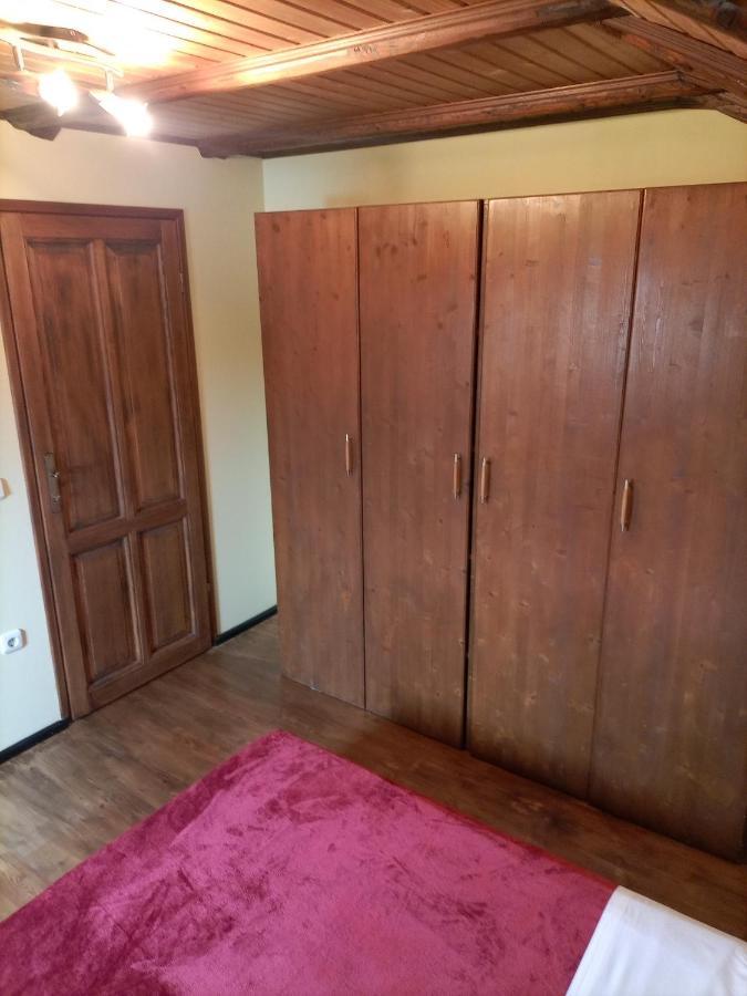 Apartments Ingrid Novigrad  Екстер'єр фото