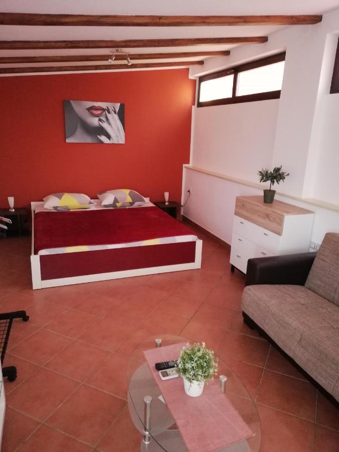 Apartments Ingrid Novigrad  Екстер'єр фото